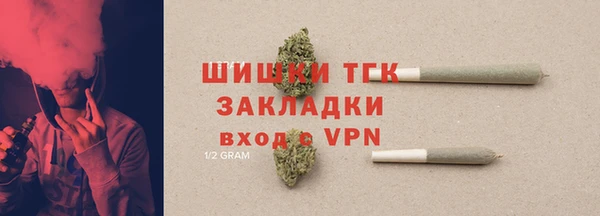 гидропоника Алзамай