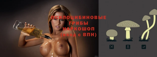 гидропоника Алзамай