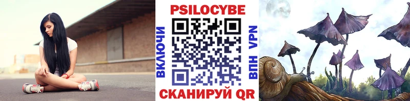 Купить  Выкса  Псилоцибиновые грибы MAGIC MUSHROOMS 