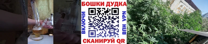 МАРИХУАНА White Widow Купить где Выкса